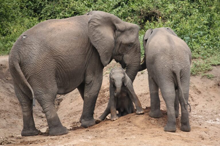 WhatsApp Image 2025-06-10 at 1.23.29 PM