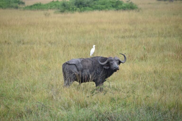 WhatsApp Image 2025-06-10 at 1.24.11 PM (1)