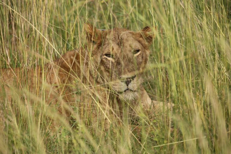 WhatsApp Image 2025-06-10 at 1.24.29 PM