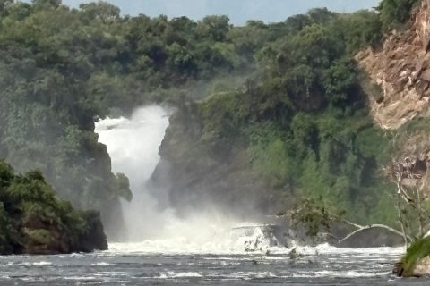 WhatsApp Image 2025-06-06 at 8.41.05 PM