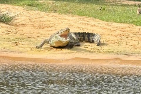 WhatsApp Image 2025-06-06 at 8.41.06 PM (1)