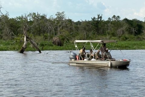 WhatsApp Image 2025-06-06 at 8.41.07 PM