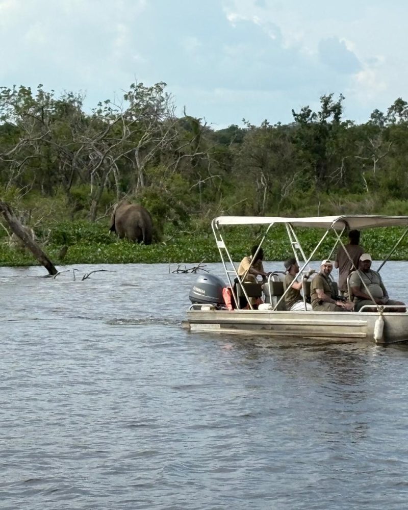 WhatsApp Image 2025-06-06 at 8.41.07 PM