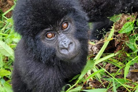 WhatsApp Image 2025-06-10 at 1.22.58 PM