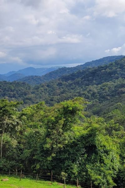 WhatsApp Image 2025-06-10 at 1.23.15 PM