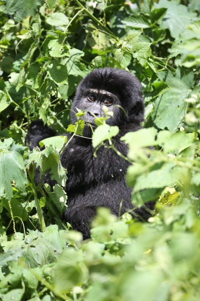 WhatsApp Image 2025-06-10 at 1.23.16 PM (1)