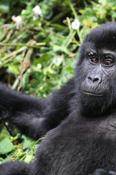 WhatsApp Image 2025-06-10 at 1.23.17 PM