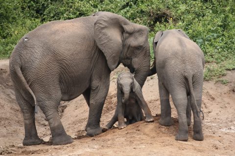 WhatsApp Image 2025-06-10 at 1.23.29 PM