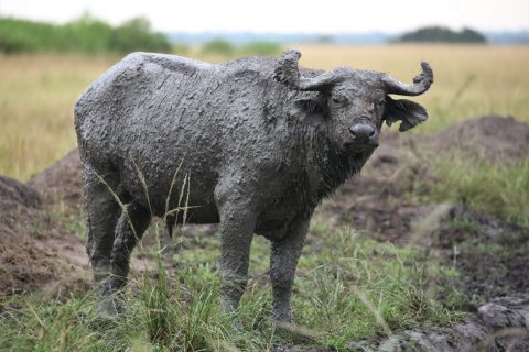 WhatsApp Image 2025-06-10 at 1.24.11 PM