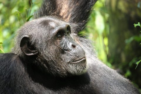 WhatsApp Image 2025-06-10 at 1.24.20 PM