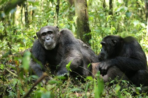 WhatsApp Image 2025-06-10 at 1.24.21 PM (1)