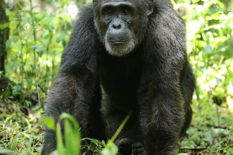 WhatsApp Image 2025-06-10 at 1.24.21 PM