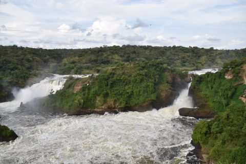 WhatsApp Image 2025-06-10 at 1.24.26 PM