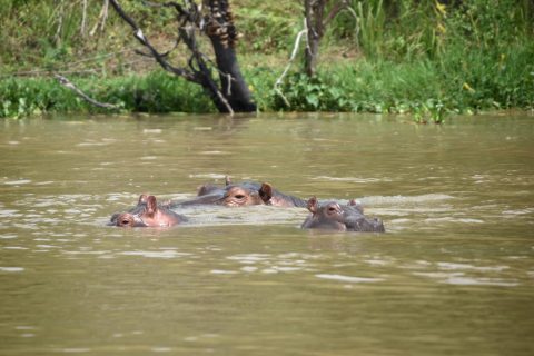 WhatsApp Image 2025-06-10 at 1.24.28 PM