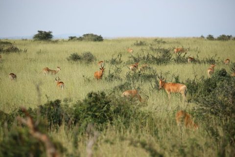 WhatsApp Image 2025-06-10 at 1.24.30 PM (1)