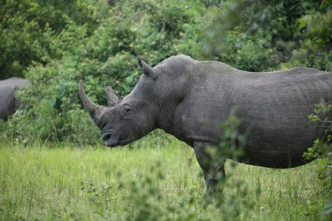 WhatsApp Image 2025-06-10 at 1.24.36 PM