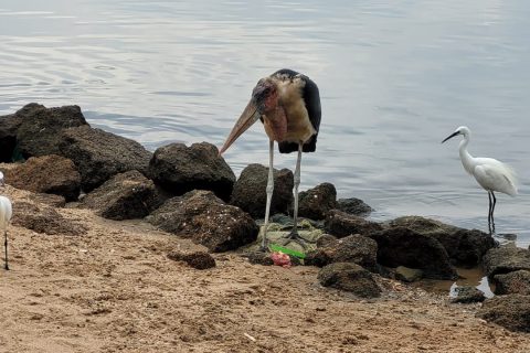 WhatsApp Image 2025-06-10 at 1.24.39 PM